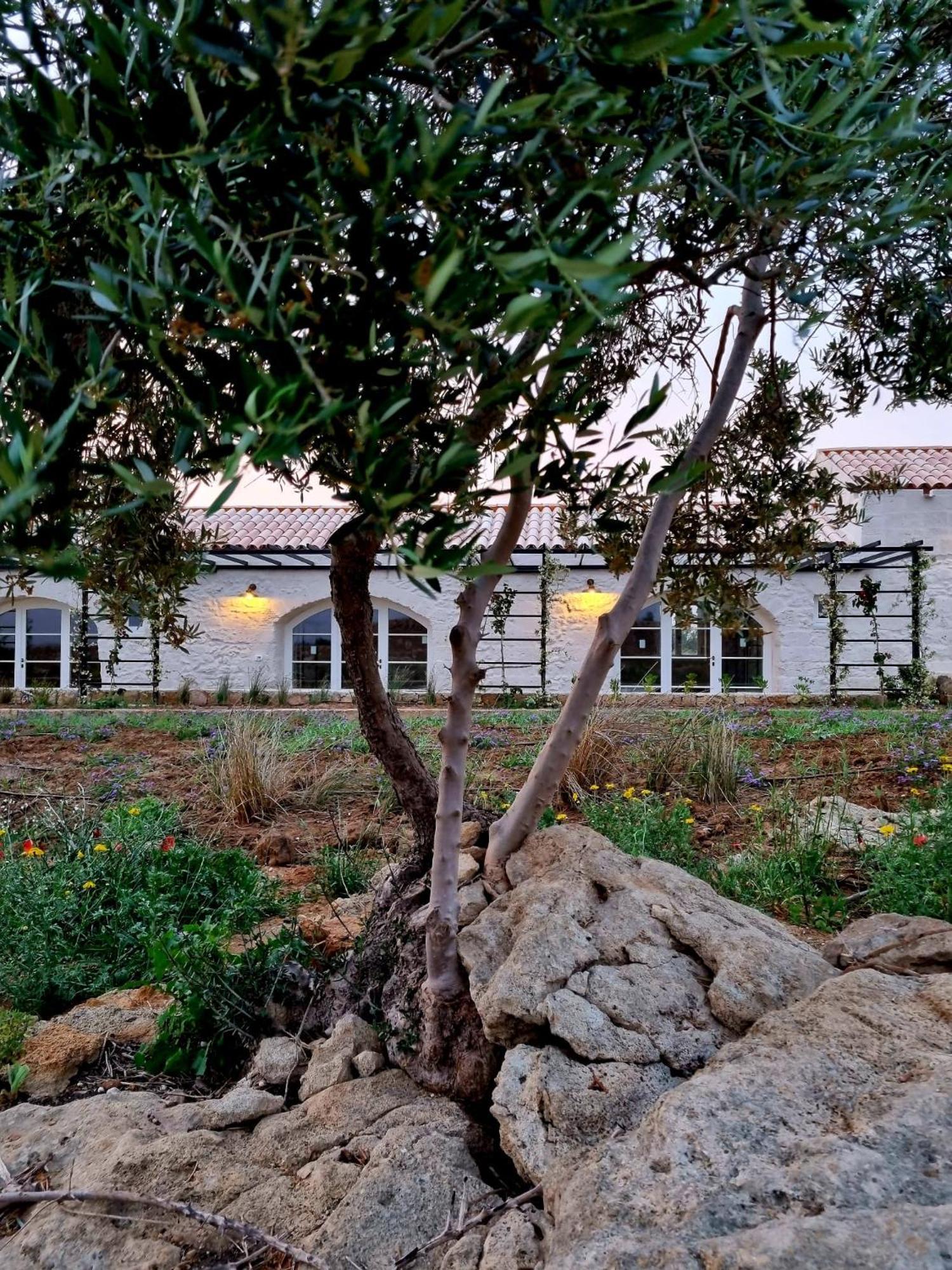 Masseria Vaccaro By Raro Villas - Self Check-In Brindisi Exterior photo